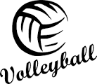 volleyball image